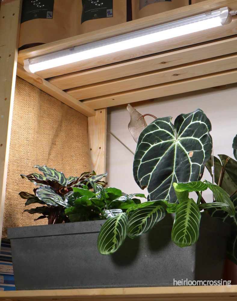 LED Växtbelysning 60cm | 18 W - Bild 2