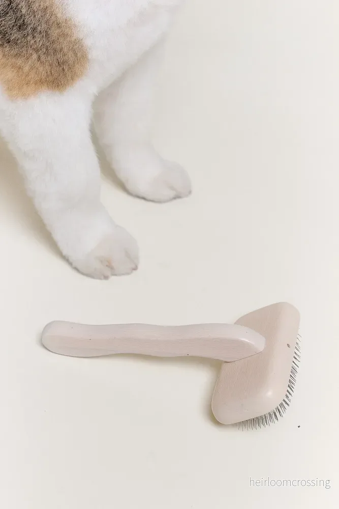 Detail Brush