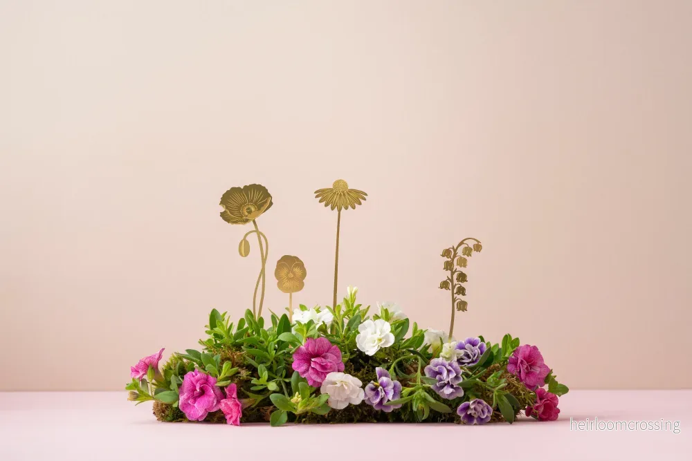 Trädgårdsblommor - Bild 3