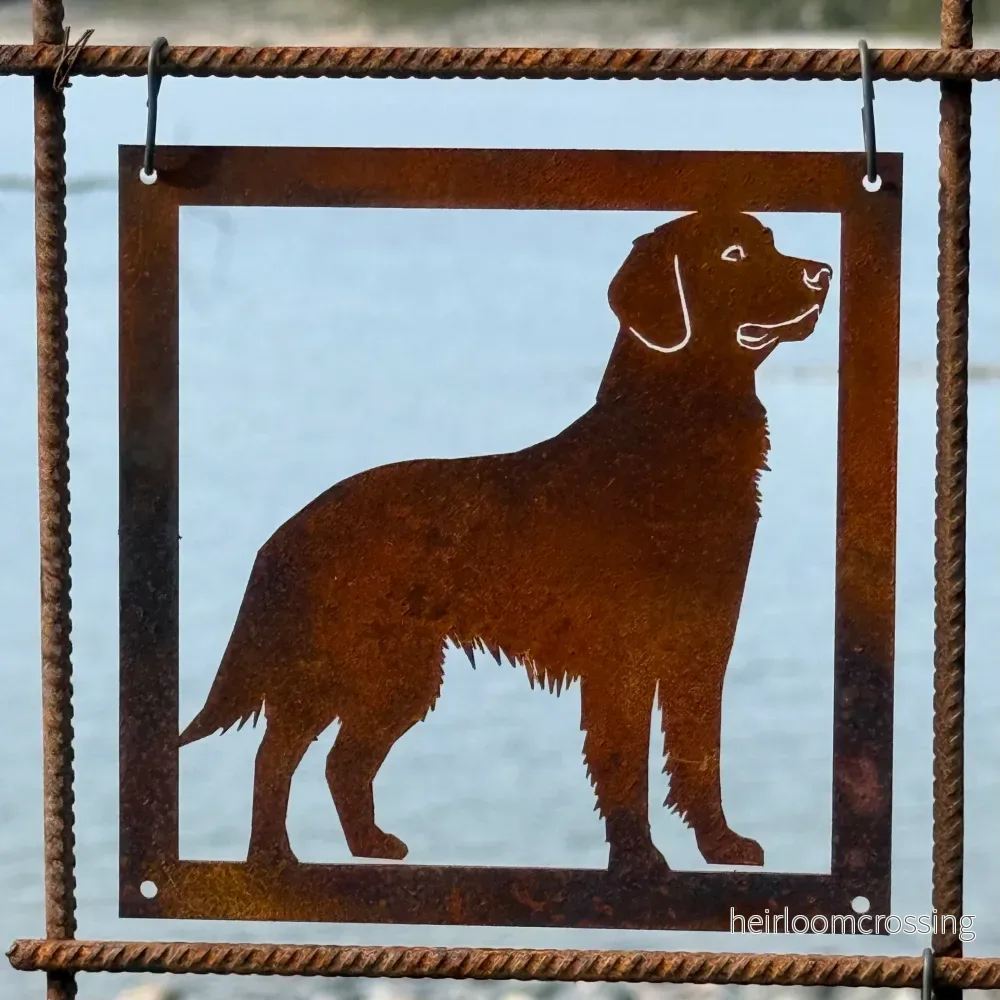 Prydnadsplatta Hunden Benny 13 x 13 Prydnadsplatta Hunden Benny 13 x 13
