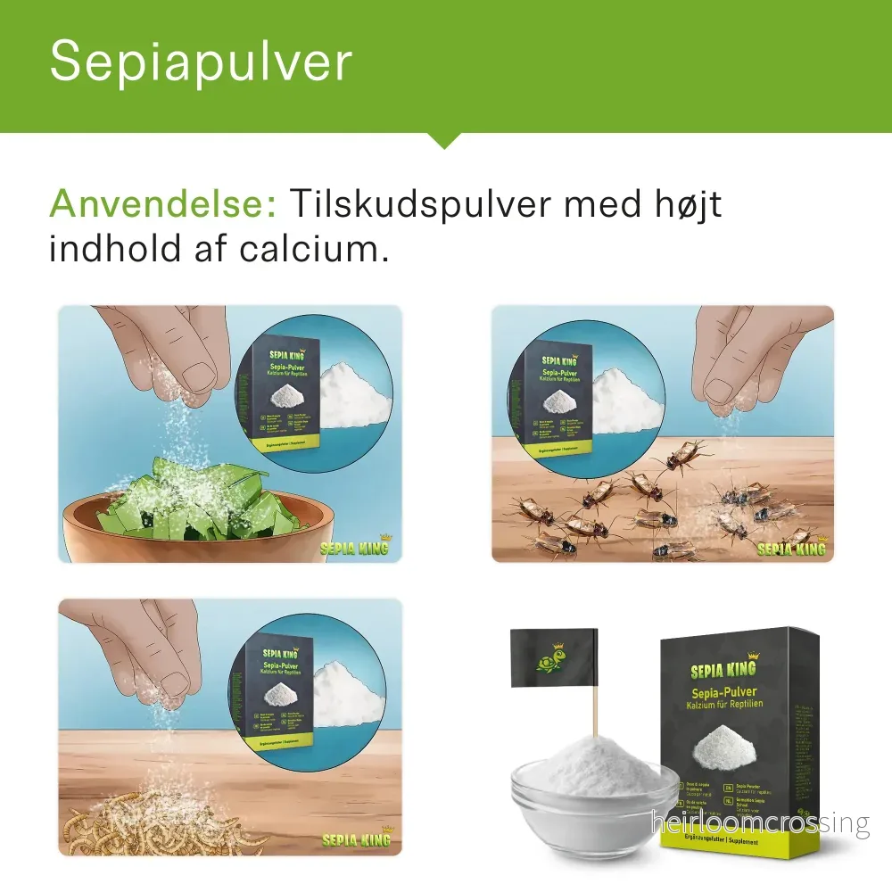 Bläckfiskskal, pulver (50g) - Bild 2