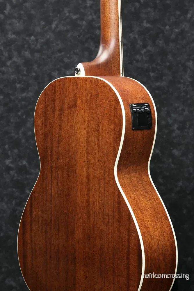 PF Performance - Akustisk shortscale-bas - Bild 2