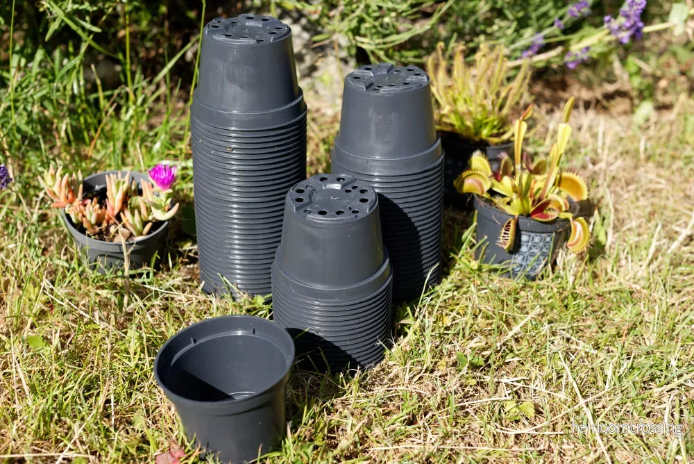 Plastkruka (ø 9 cm) - Bild 2