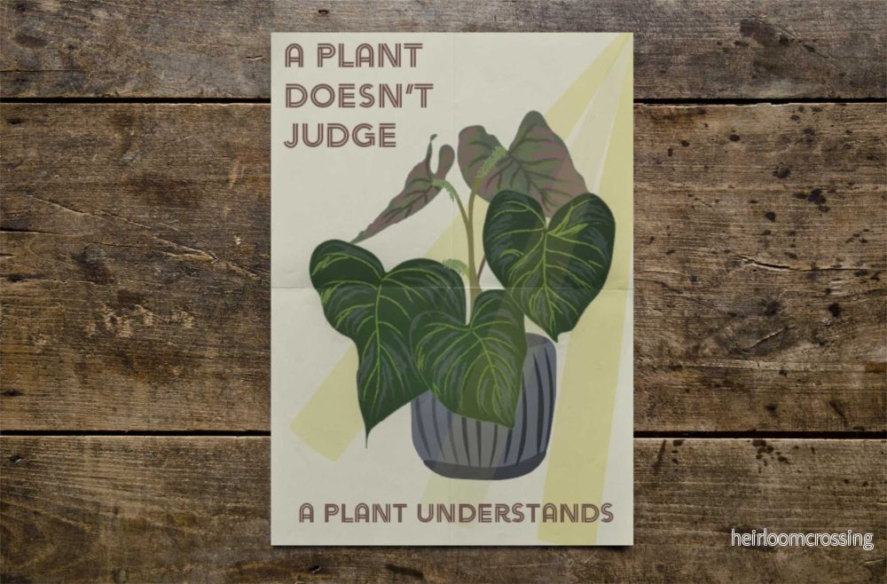 Affisch | Philodendron Verrucosum Affisch | Philodendron Verrucosum