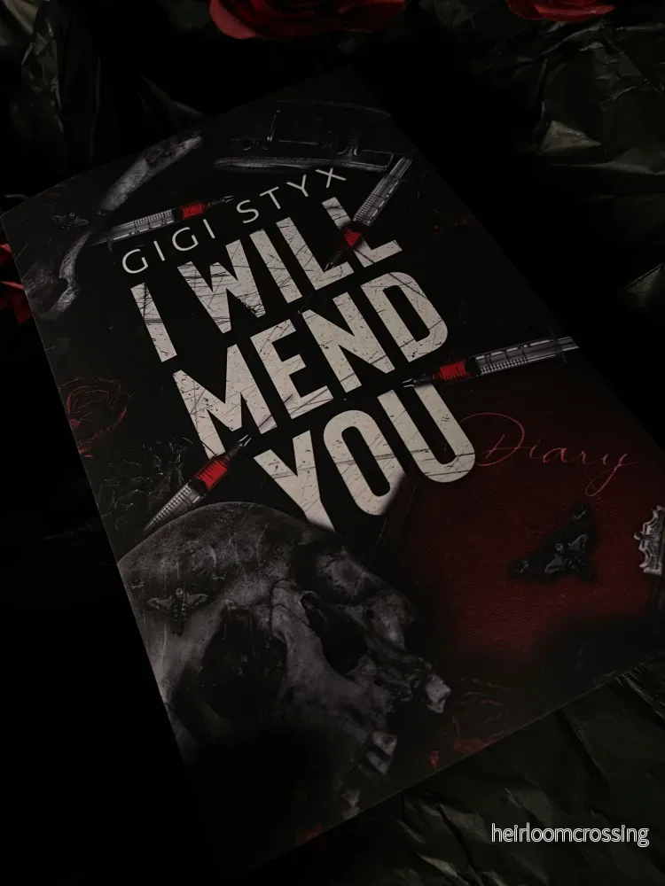 I Will Mend You, av Gigi Styx (pocketutgåva, engelsk utgåva)