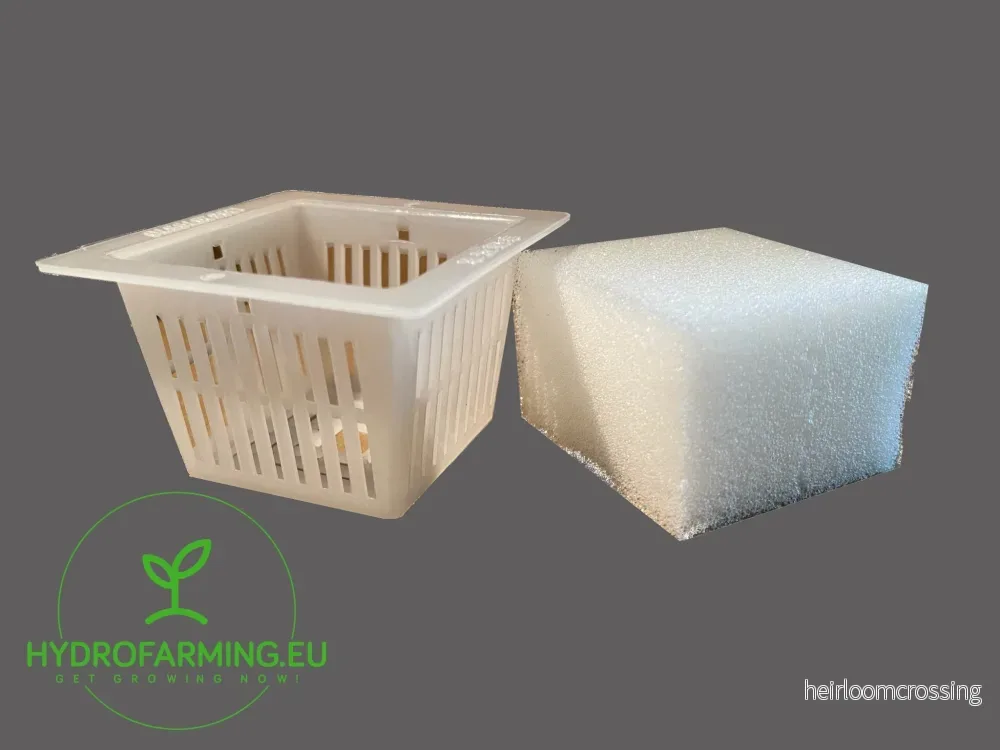 Fyrkantiga korgar med svampar till IKEA Växer Fyrkantiga korgar med svampar till IKEA Växer