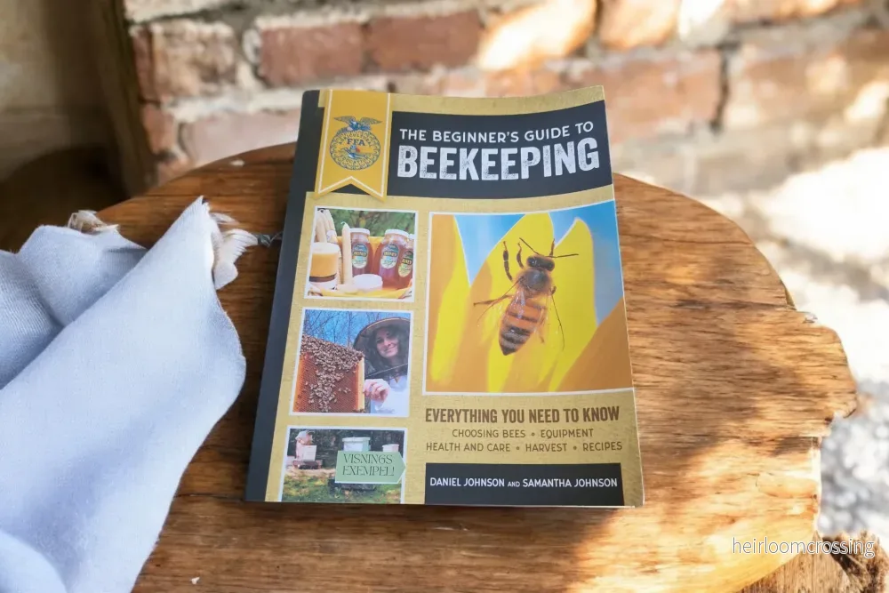 The Beginner's Guide to Beekeeping
