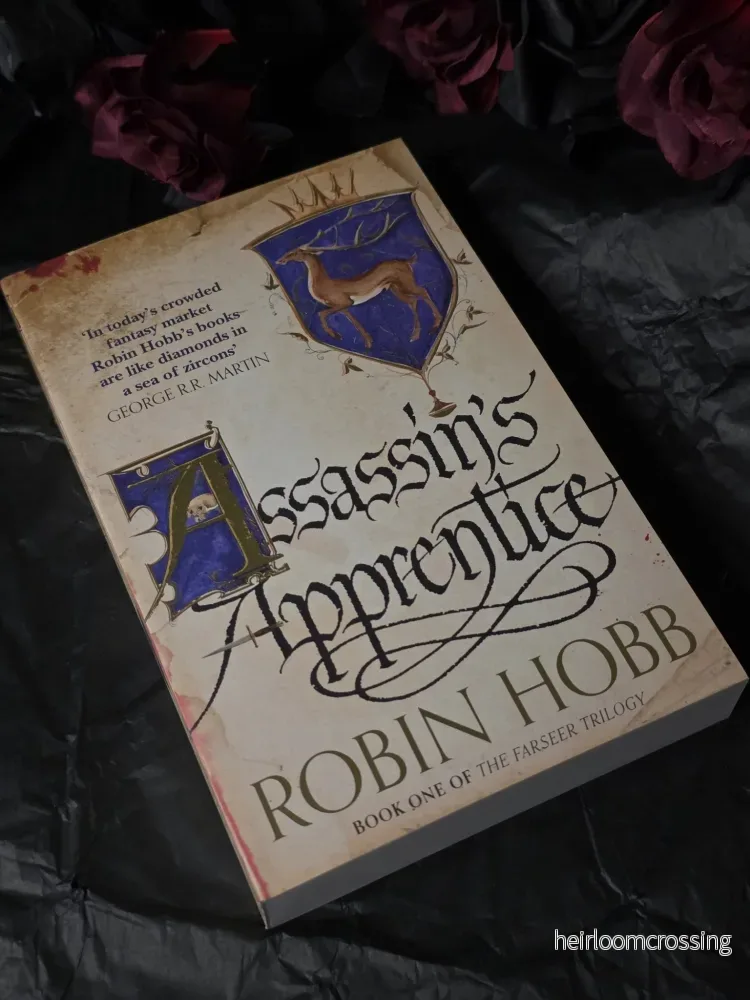 Assassin’s Apprentice (Farseer #1), by Robin Hobb (softback, english edition) Assassin’s Apprentice (Farseer #1), by Robin Hobb (softback, english edition)