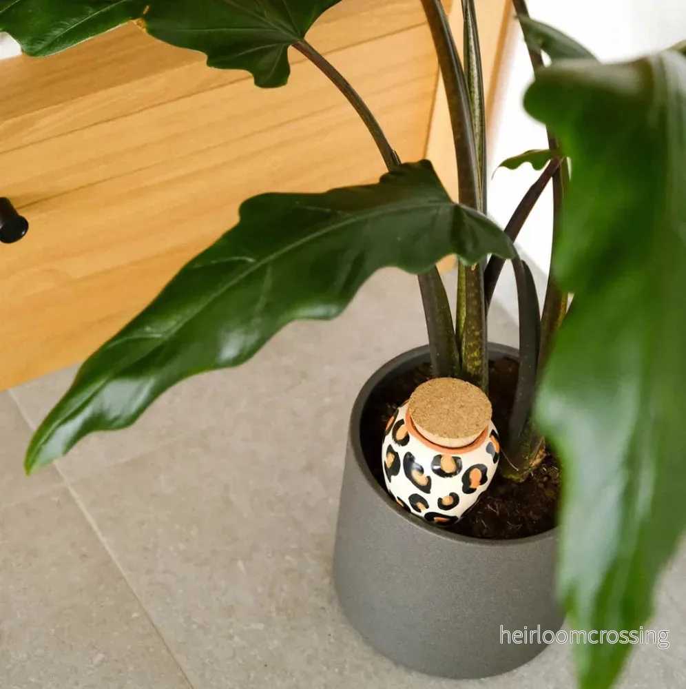Holiday Water (Leopard Spots) - Bild 2