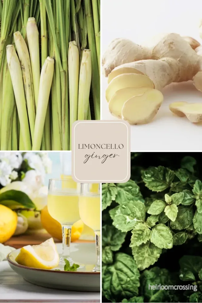 Doftpinnar – citrongräs & ingefära – Rumsdoft för hemmet – Limoncello - Bild 2