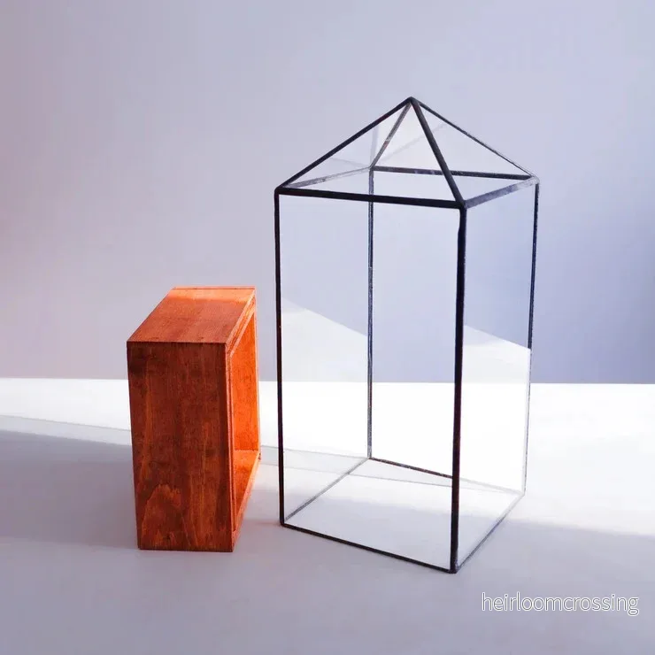 Terrarium (torn) - Bild 3