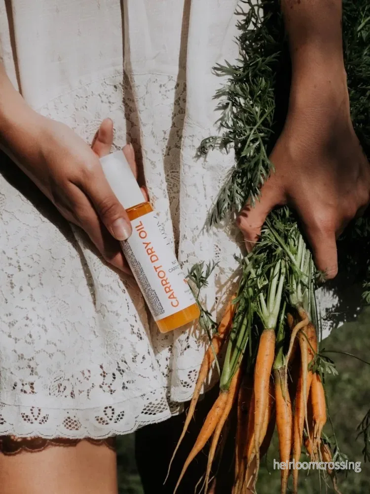 Torrolja med Morot och Aloe Vera - för naturlig lyster, 100ml