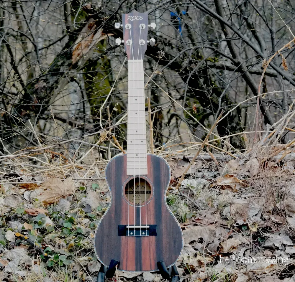 Ebony - Konsertukulele - Bild 3