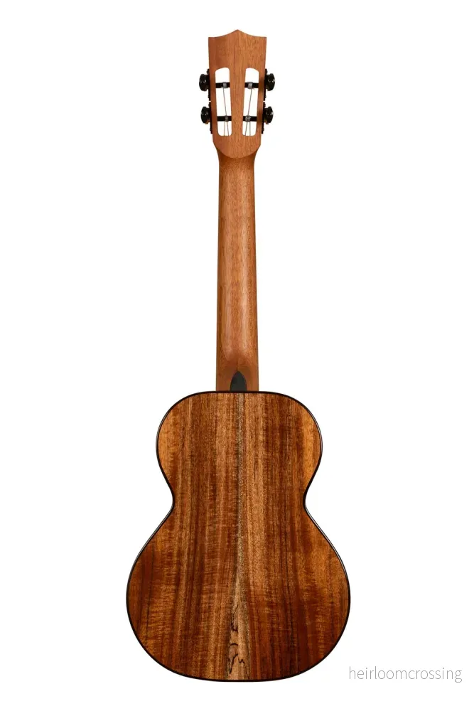 Kontur - Tenor - Akacia - Bild 2