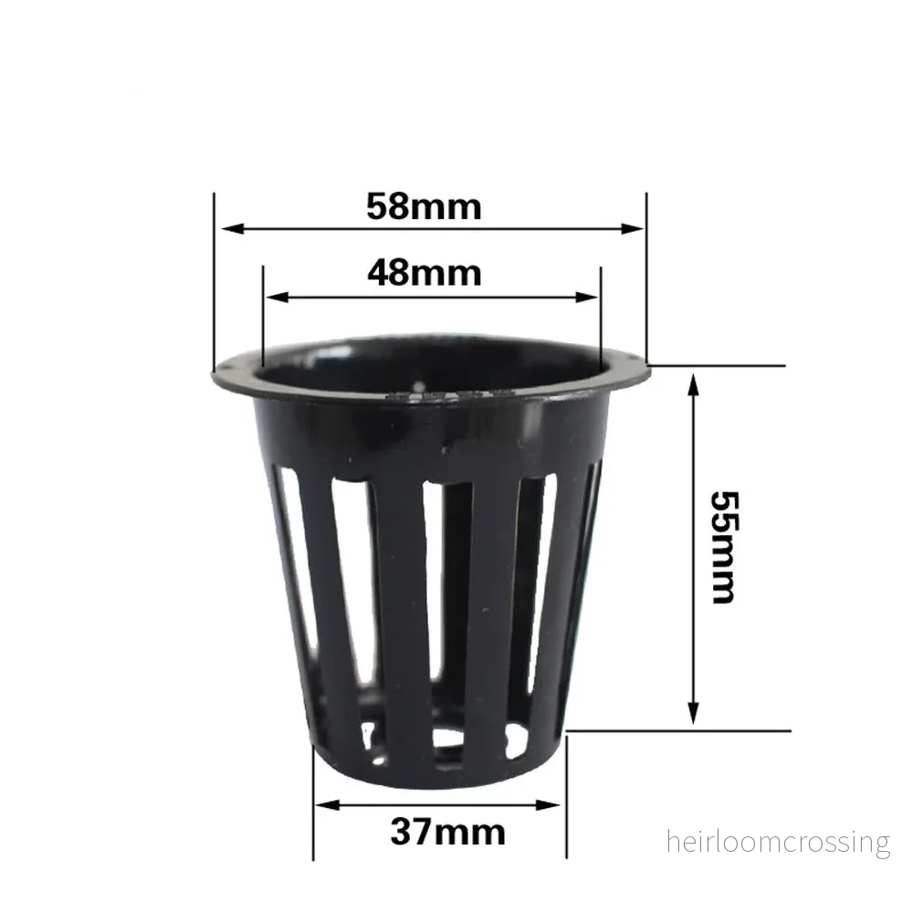 Nätkruka 50 mm med odlingssvamp - 20 pack - Bild 2