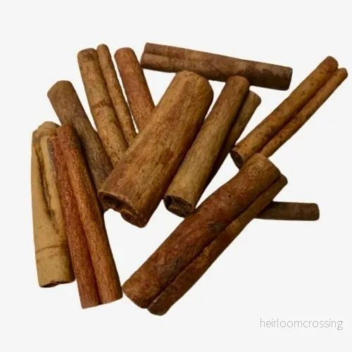 kanelbark