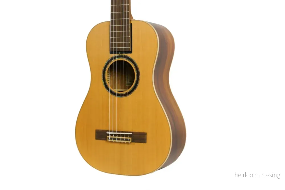 Journey Instruments OC520 Overhead – Klassisk resegitarr i massiv gran och mahogny - Bild 2