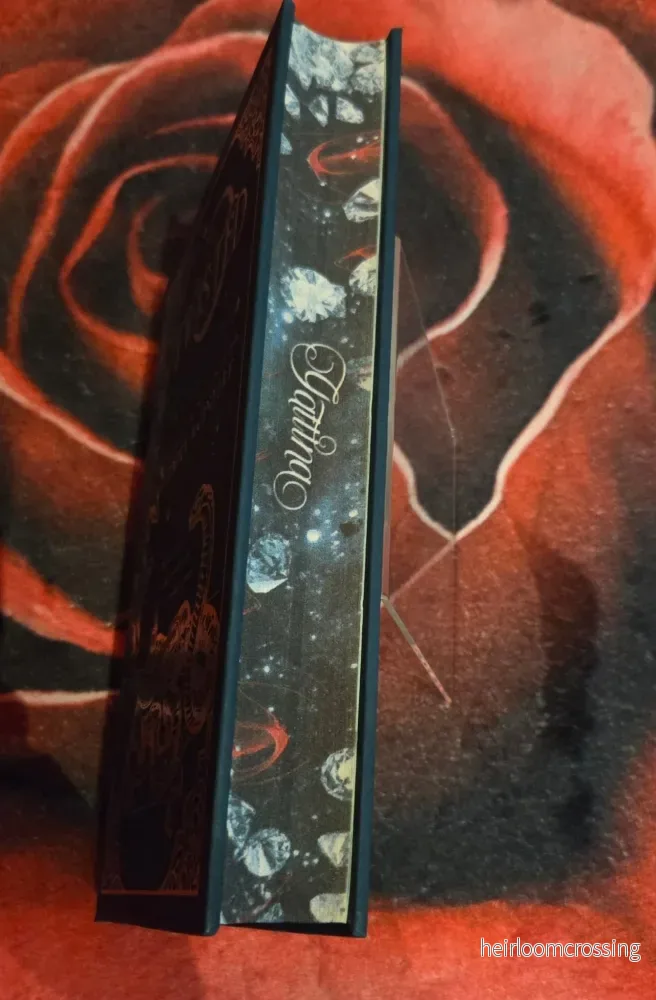 Twisted (Collector's Edition) (Never After #4), by Emily McIntire (hardback, english edition) - Bild 2