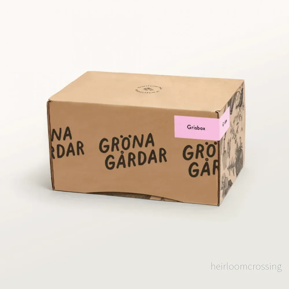 Grisbox Grisbox