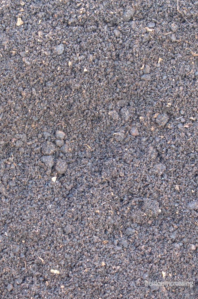 Maskgödsel - Bild 3