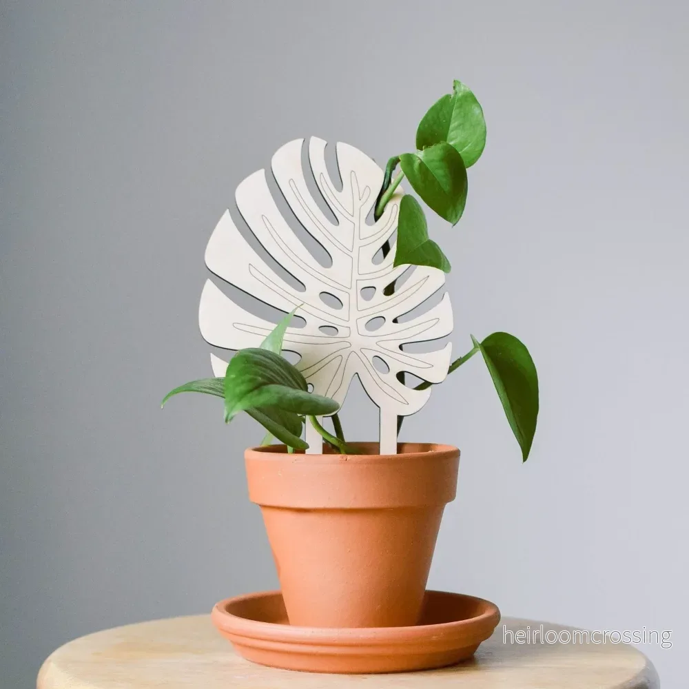 Växtstöd – "Monstera" Litet - Bild 3