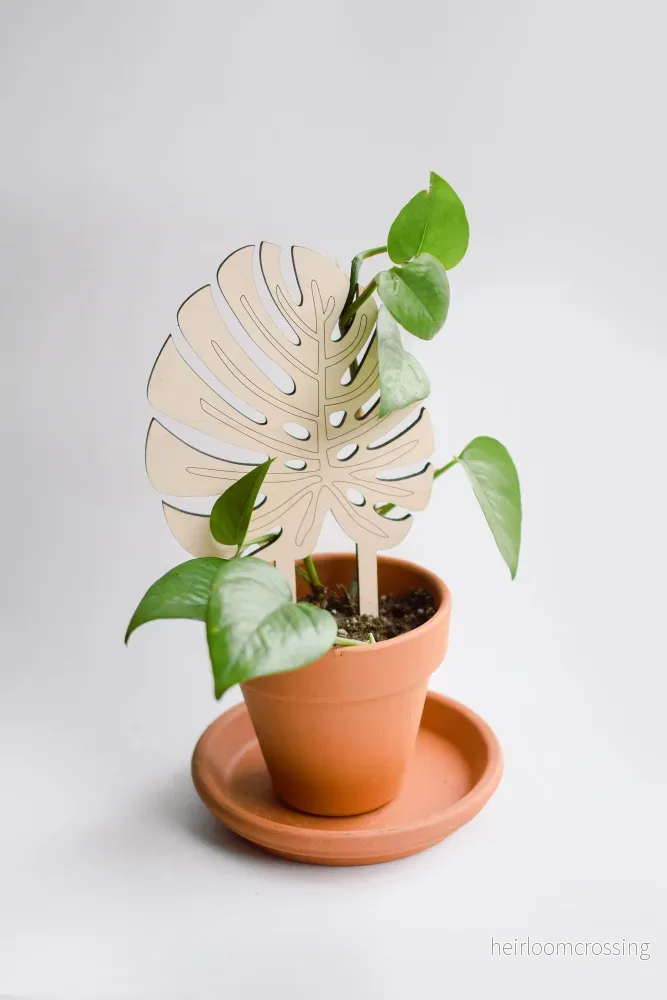Växtstöd – ”Monstera” Litet Växtstöd – ”Monstera” Litet
