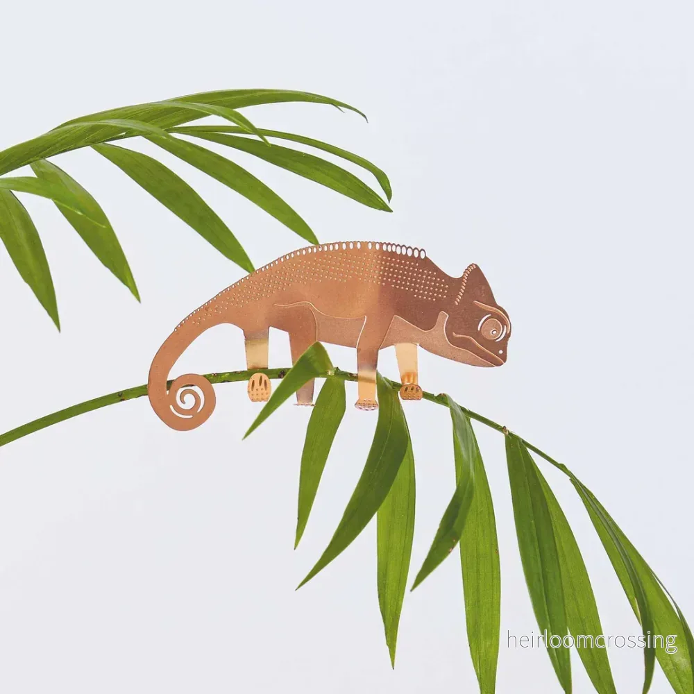 Chameleon (koppar - begränsad upplaga) - Bild 2