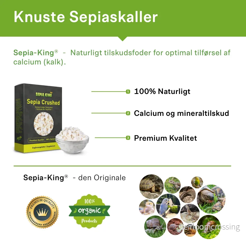 Bläckfiskskal, krossade (100 g) - Bild 3
