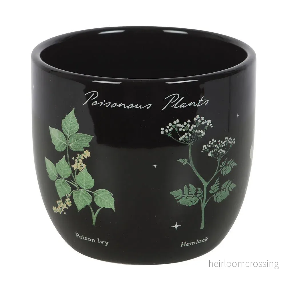 Venom & Vines Poisonous Plants Ceramic Plant Pot - Bild 2