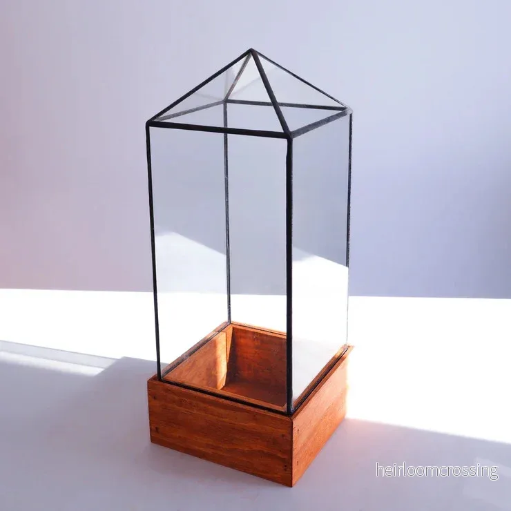 Terrarium (torn) - Bild 2