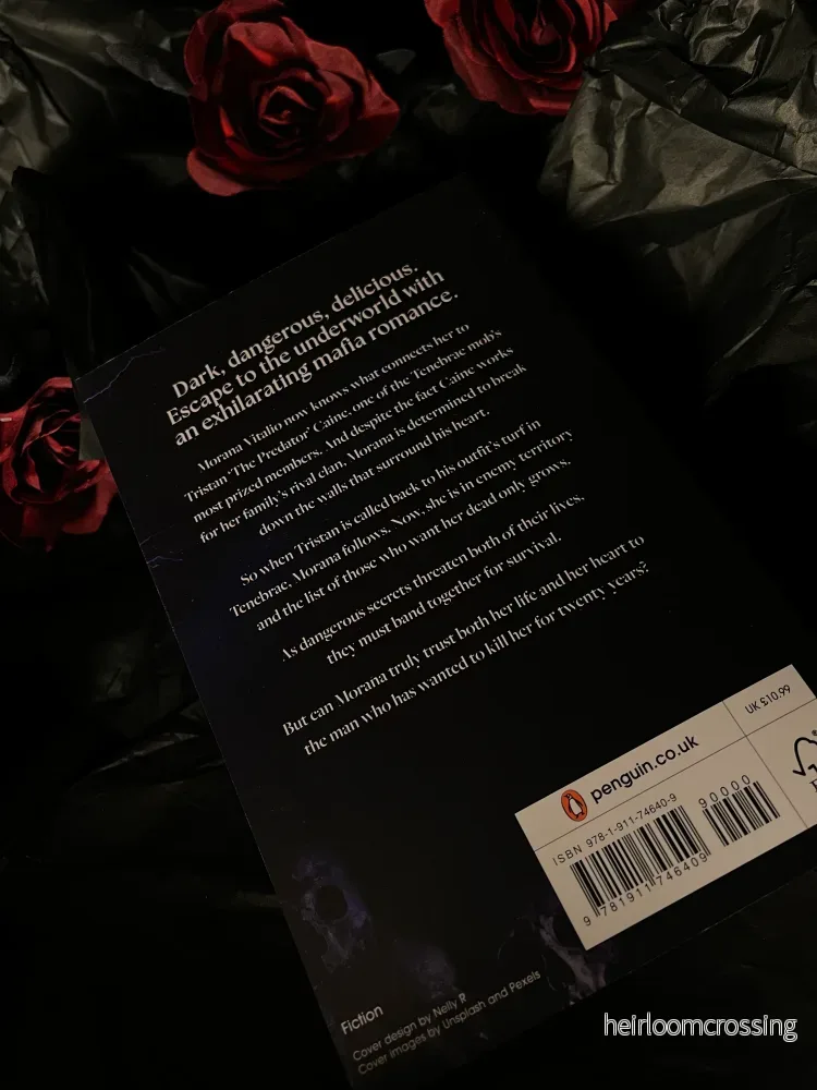 The Reaper, av RuNyx (pocketutgåva, engelsk utgåva) - Bild 2