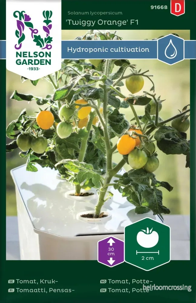 Körsbärstomat ’Twiggy Orange’ F1 Nelson Garden 91668 Körsbärstomat ’Twiggy Orange’ F1 Nelson Garden 91668