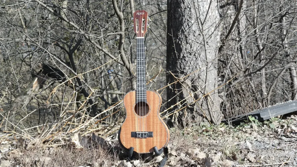 LOMA tenorukulele - Bild 2