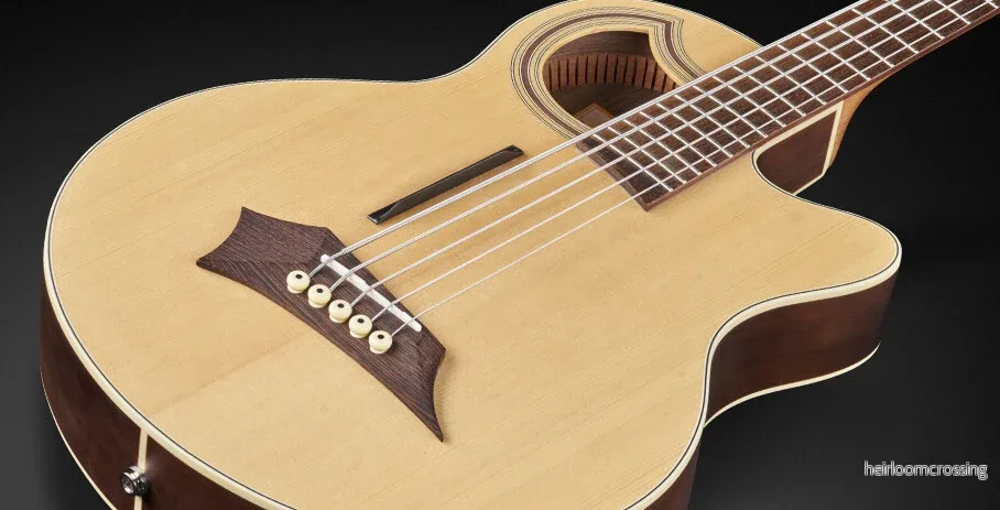 RockBass Alien Deluxe Hybrid Thinline, 5-strängad