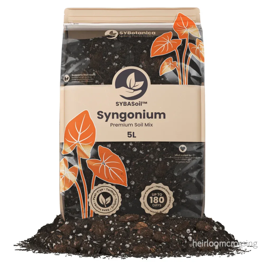 Syngoniumjord (5 L) Syngoniumjord (5 L)