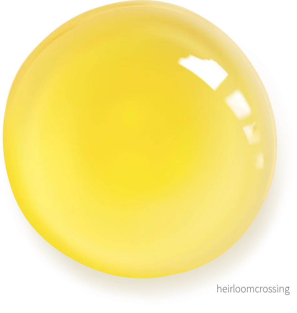 Golden Touch Oil - Bild 2
