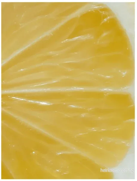 Vitamin C Serum, 30 ml - Bild 3