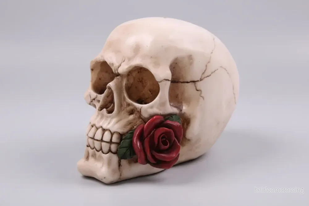Skull With Single Rose - A Rose For A Rose
