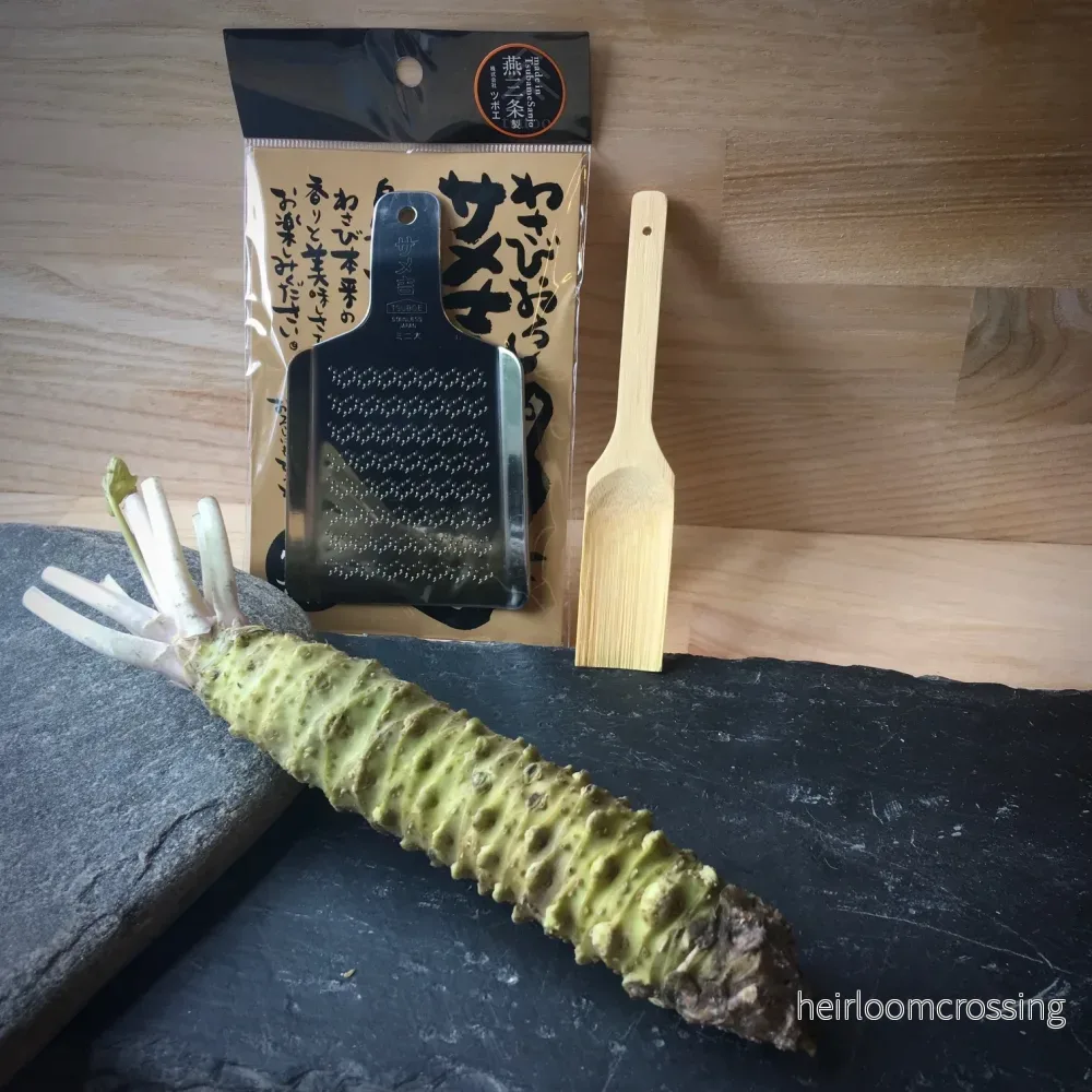 Wasabi-kit från Japan