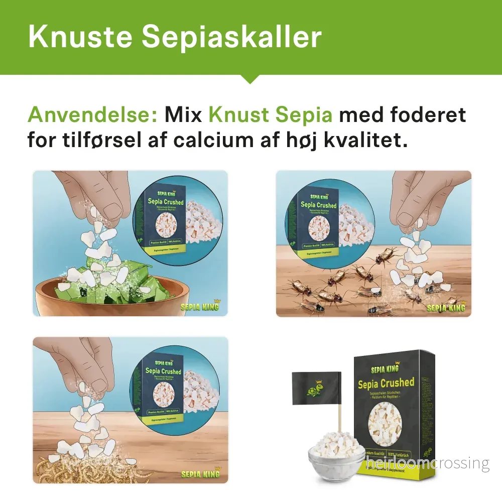 Bläckfiskskal, krossade (100 g) - Bild 2