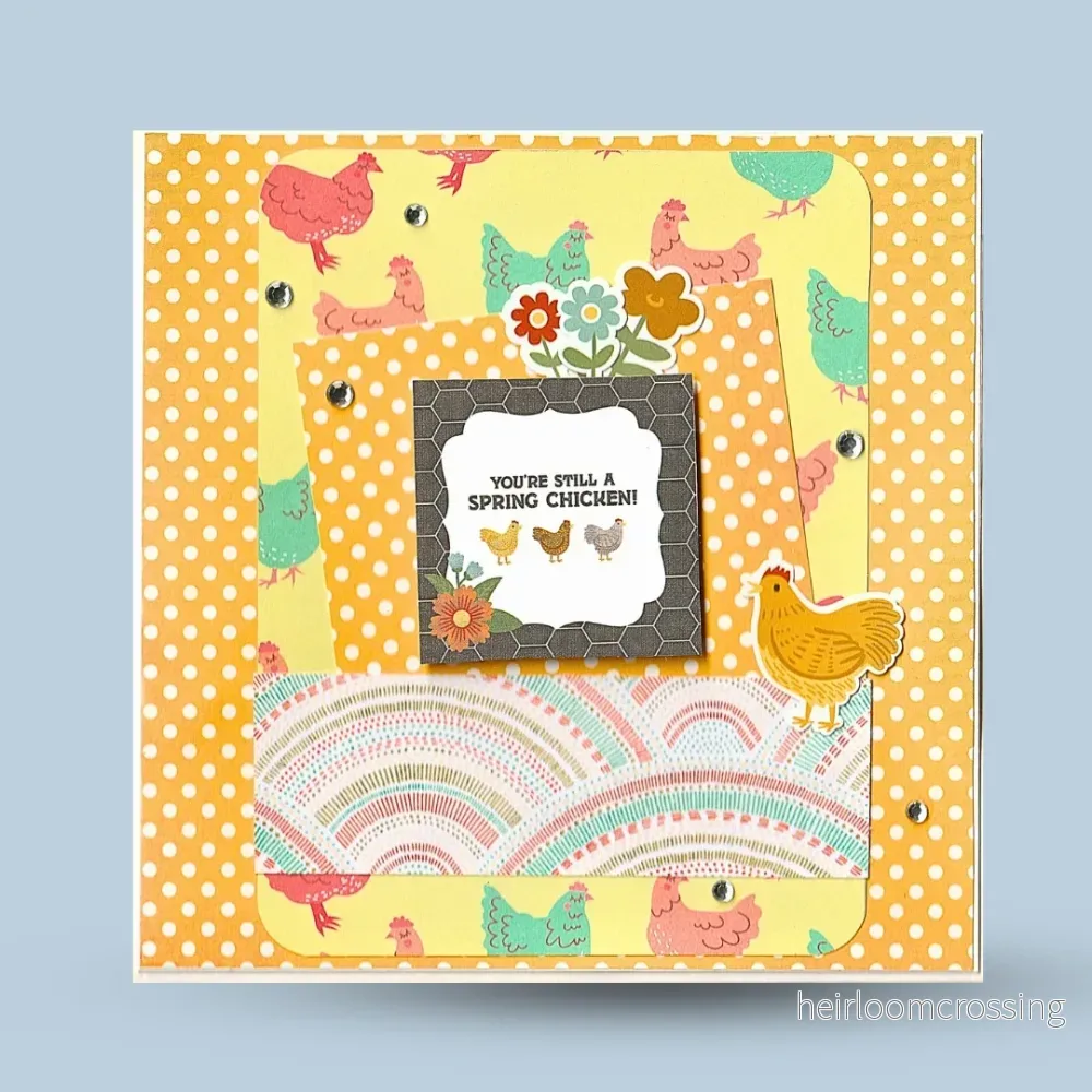 Gratulationskort 15×15: ”spring chicken”, hönor Gratulationskort 15×15: ”spring chicken”, hönor