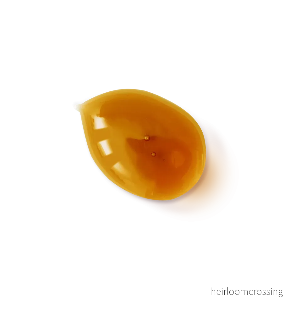 Bio Vital Serum - Bild 2