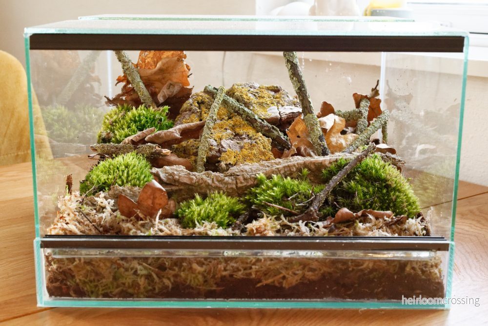 Terrariumjord (5 L) - Bild 2