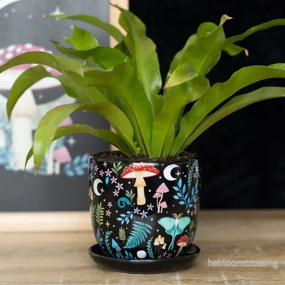 Dark Forest Plant Pot with Saucer