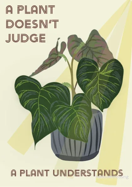 Kort | Philodendron Verrucosum Kort | Philodendron Verrucosum