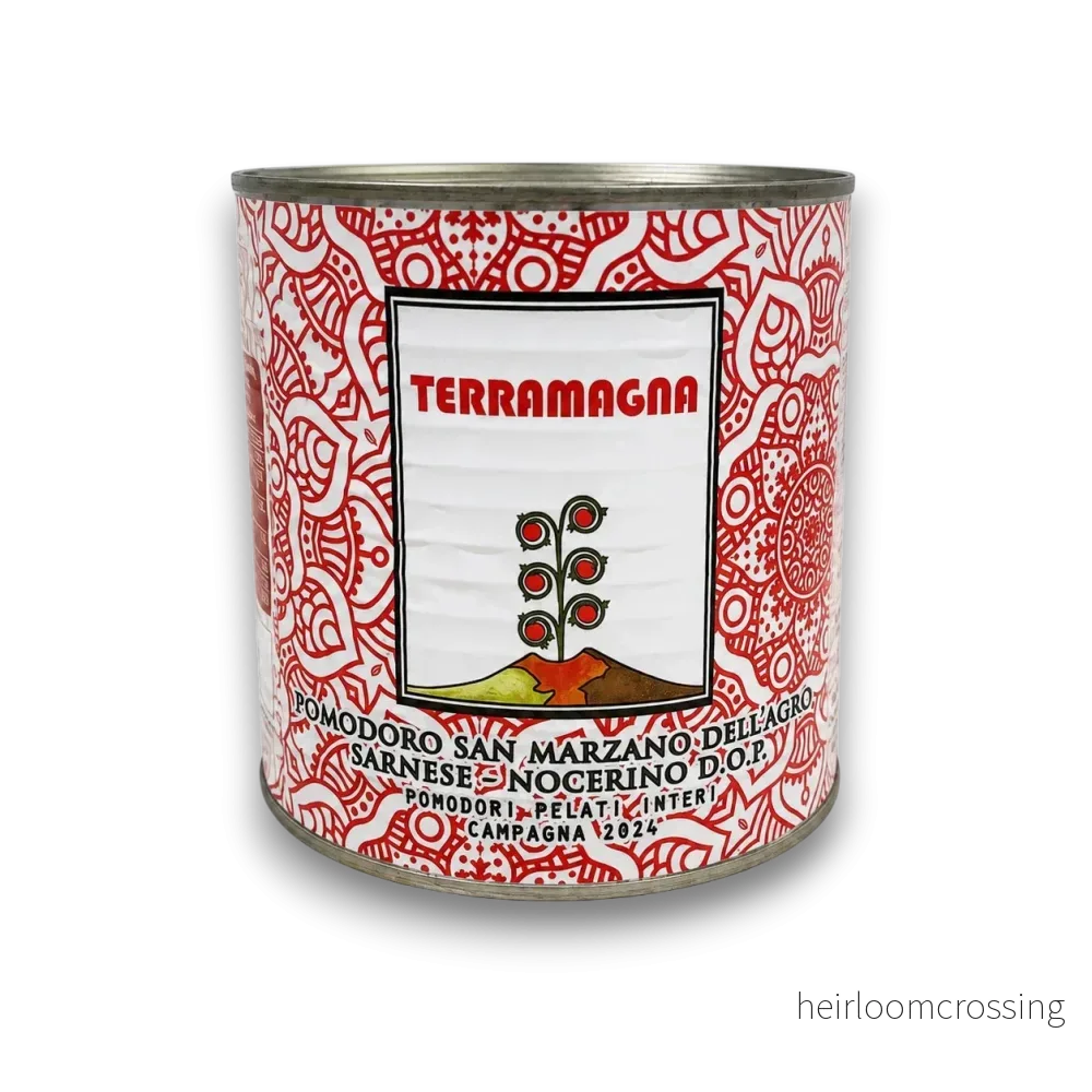 San Marzano - Terramagna - Bild 3