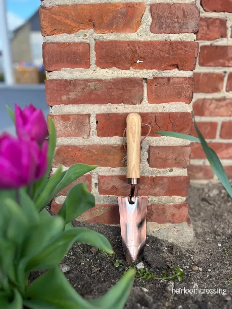 Plantskyffel med djupmätare (trähandtag och koppar) - Bild 3