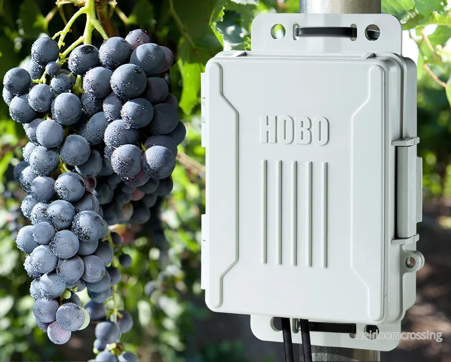HOBO H21-USB Micro Station - Bild 2