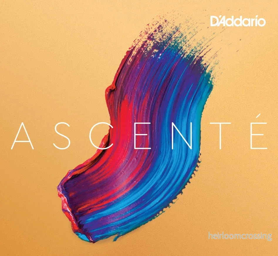 D’Addario Ascente