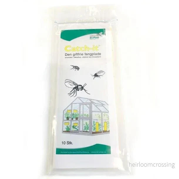 Insektsfällor (Klisterskivor) - Bild 3